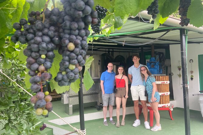 Taste Gran Canaria's unique wines - Price, group size, and what you receive
