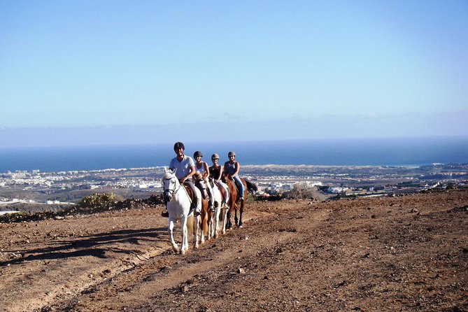 The Best Horse Riding Experience in Gran Canaria (1 hour) - Why this ride works well for a first horseback outing