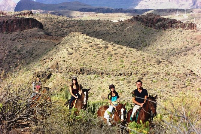 The Best Horse Riding Experience in Gran Canaria (1 hour) - Is $43.14 good value for one hour?