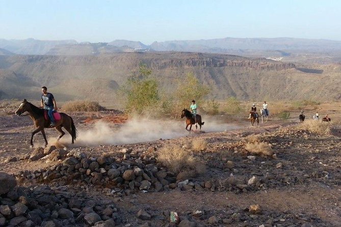 The Best Horse Riding Experience in Gran Canaria (1 hour) - Family suitability and comfort