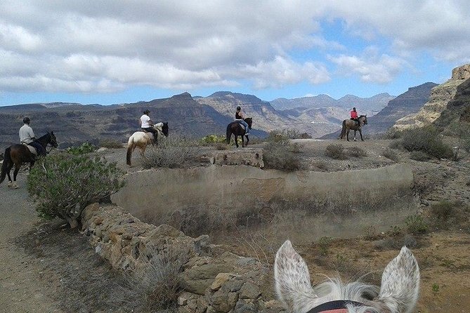 The Best Horse Riding Experience in Gran Canaria (1 hour) - Starting at El Salobre at 1 pm