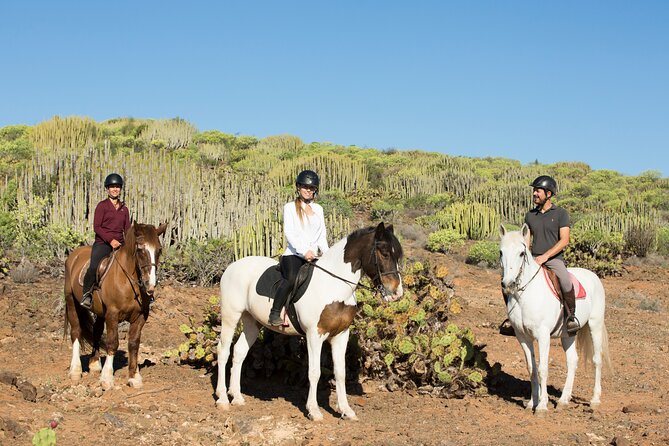 The Best Horse Riding Experience in Gran Canaria (2 hours) - Booking, weather, and cancellations