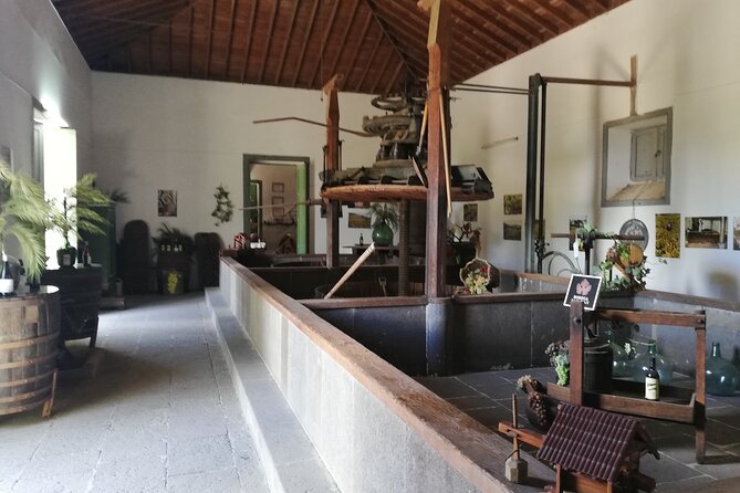 The best of Gran Canaria: 4 Hours Private Cruise Tour - Israel’s role in making the day work
