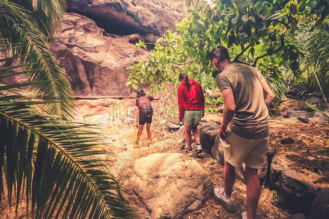 The Red Canyon Tour - Small Group Trip with Local Food Tasting ツ - La Fortaleza de Ansite connects rock, ritual, and resistance