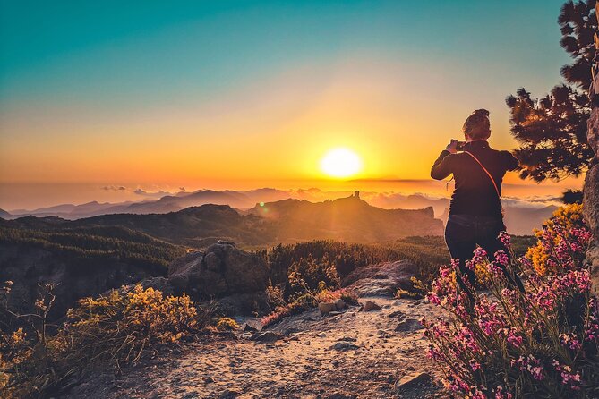 The Volcano Heart Tour: Hiking, Tasting and Sunset Experience - Pico de Las Nieves brings the best finish