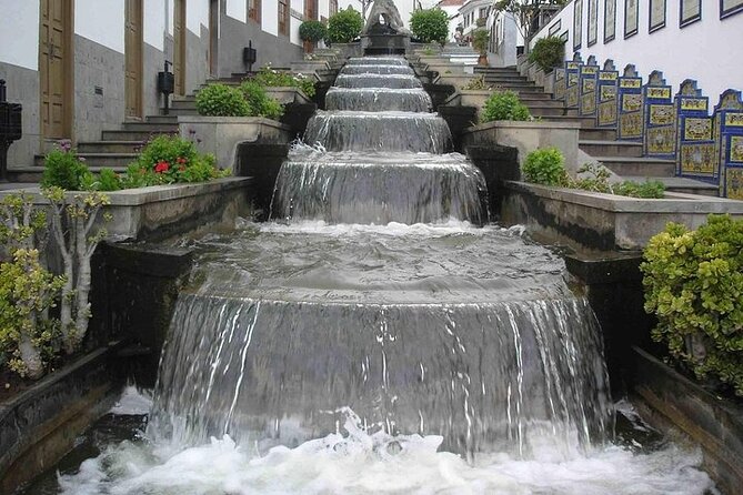 Tour to Guayadeque, Firgas, Fataga - VIP - Valleseco and the optional three-course lunch
