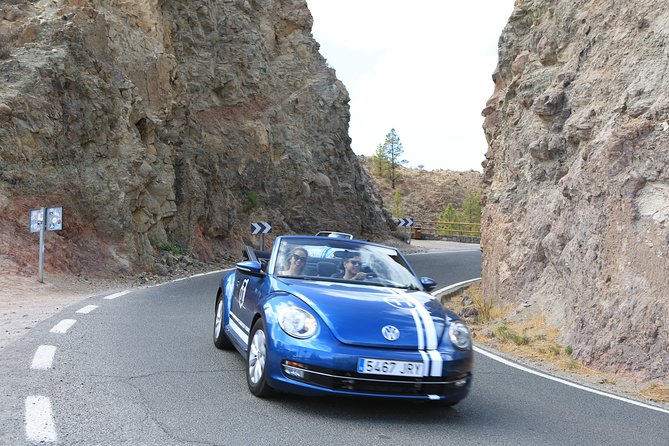 Vw Beetle Convertible Island tour Discover the island on a different way - Pico de las Nieves and Roque Nublo