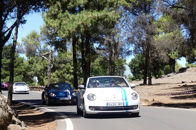 Vw Beetle Convertible Island tour Discover the island on a different way - San Bartolomé, Santa Lucía, Ayacata, and Fataga