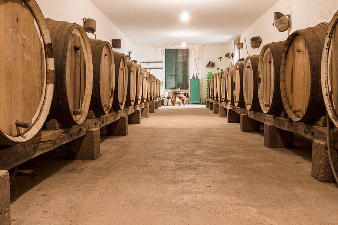 Winery Tour, Wine Museum, and Tasting in Gran Canaria - A family winery in Gran Canaria’s wine country